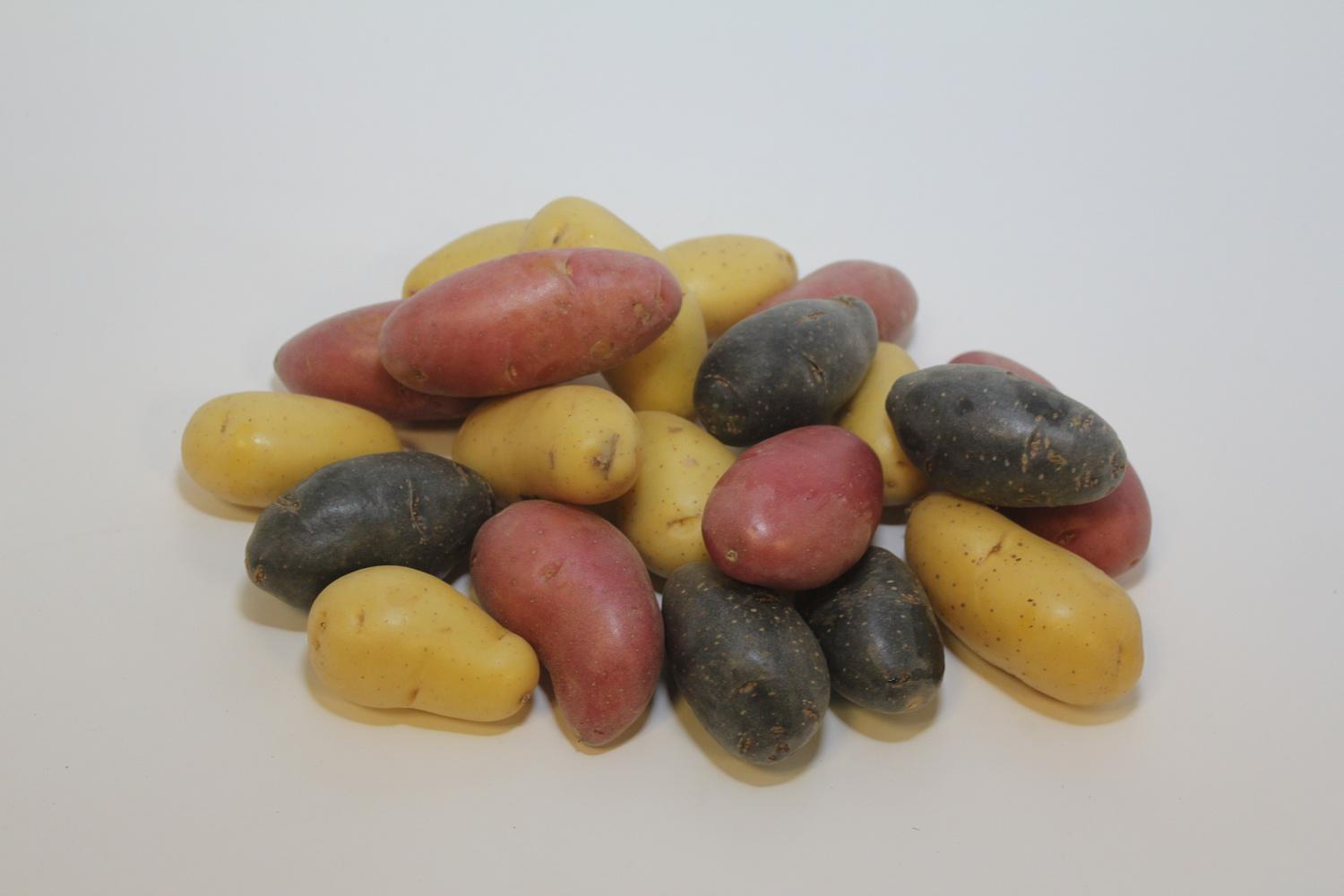 image of Tri Colored Potatoes 