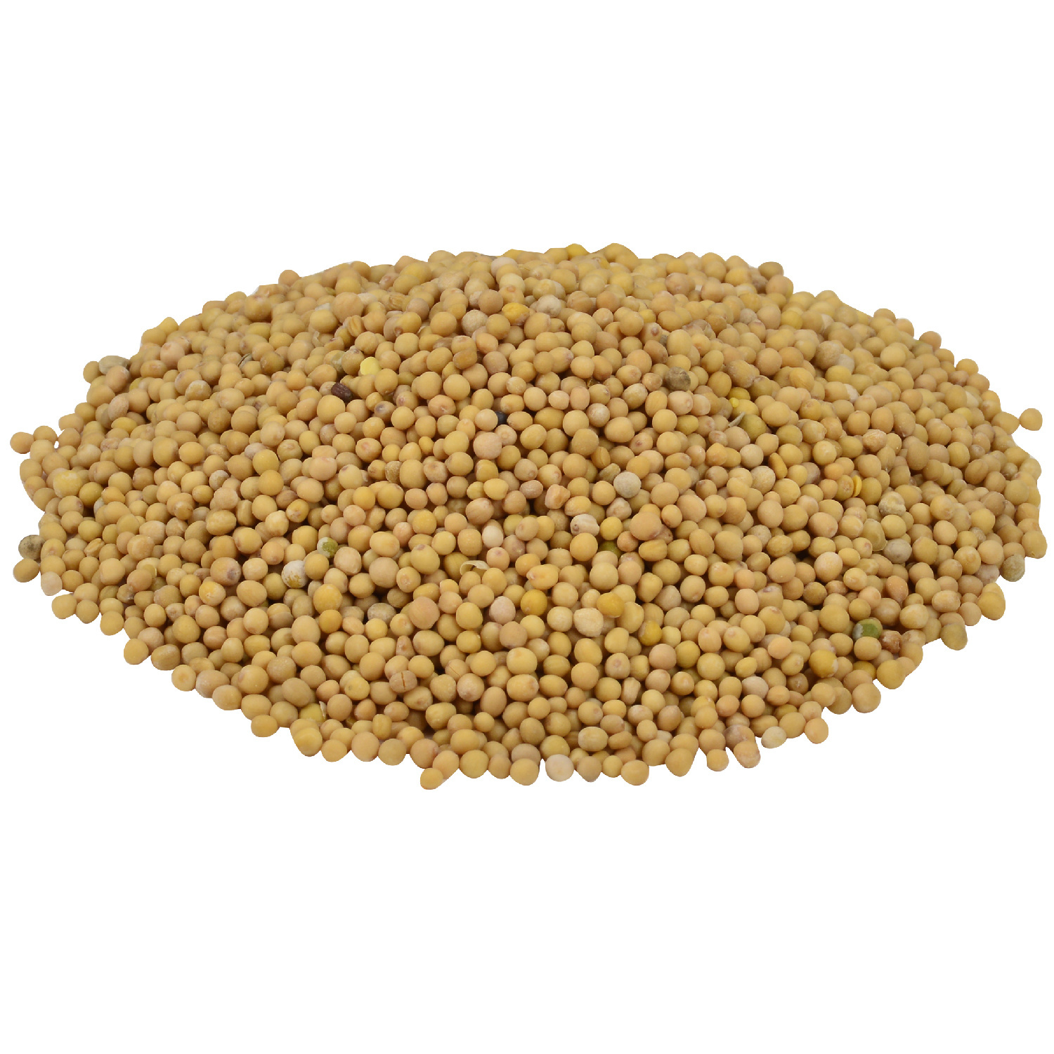 image of Mustard Seeds