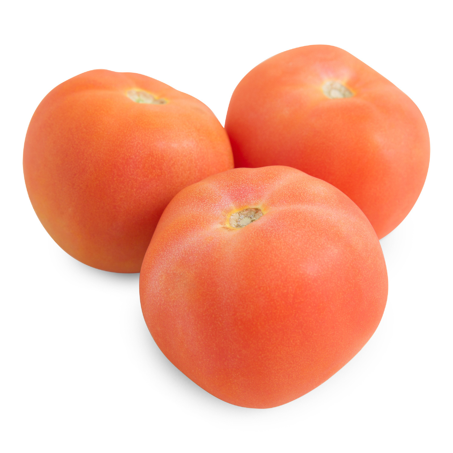 image of Tomato 1 Layer 5X6
