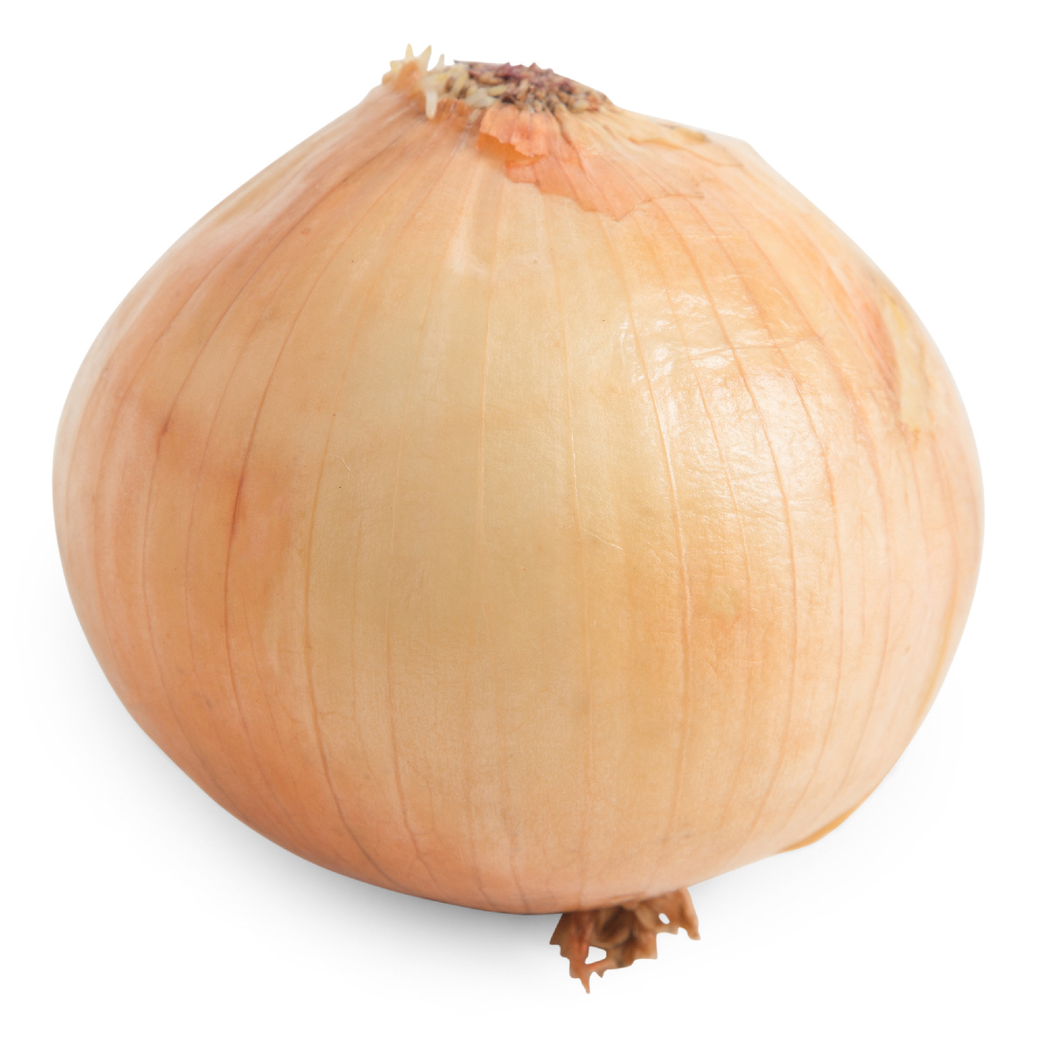 image of Fresh Yellow Onion 