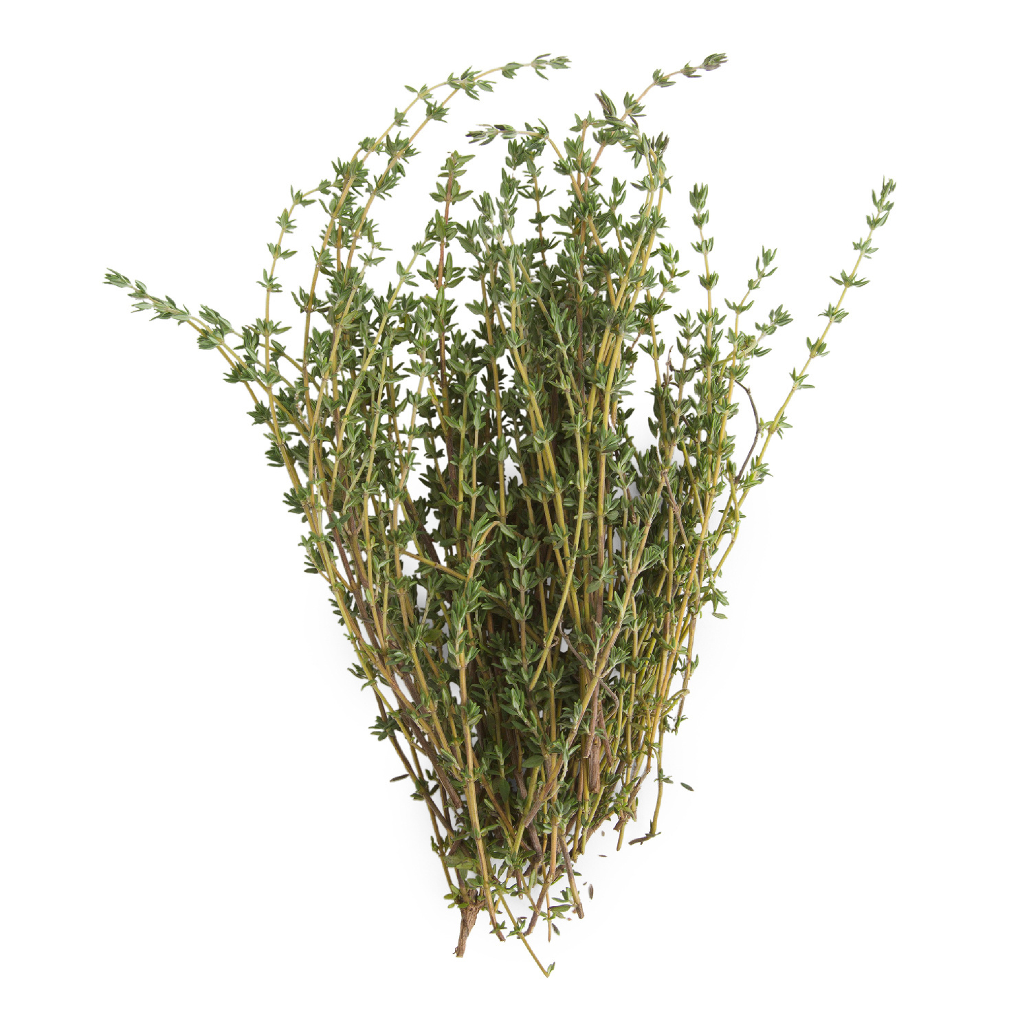 image of Imperial Fresh Thyme