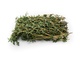 image of THYME FRESH HERB