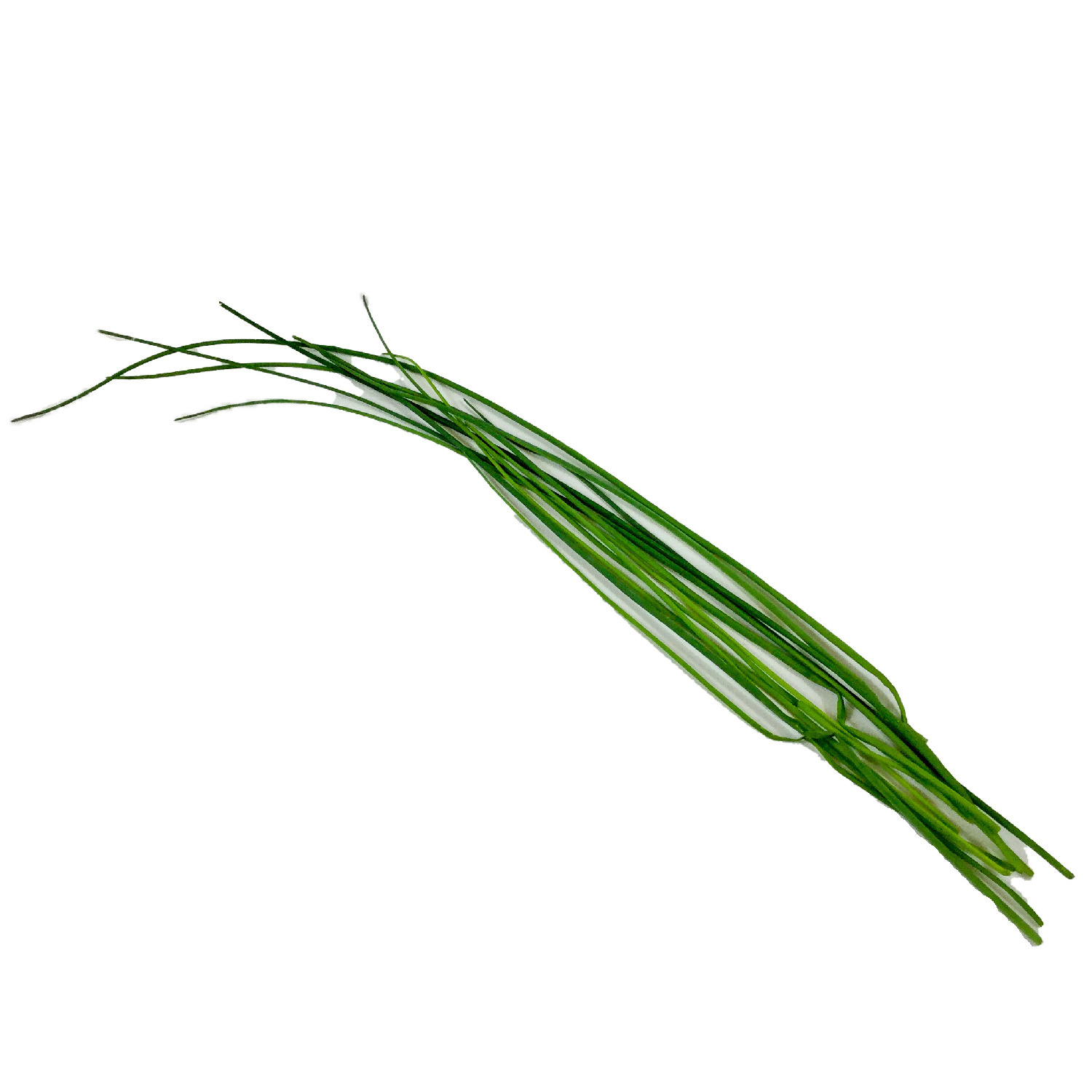 image of Fresh Chives