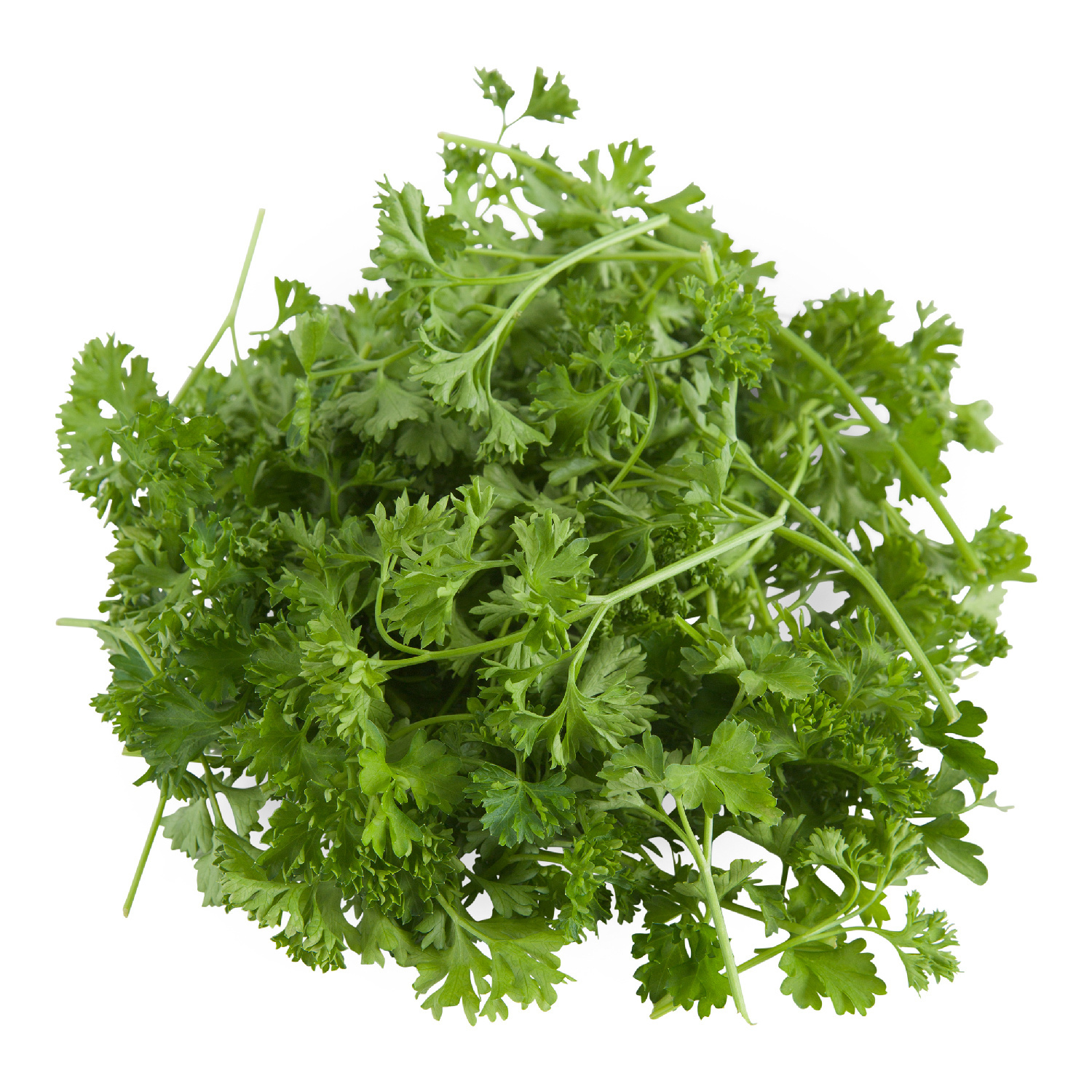 image of Parsley