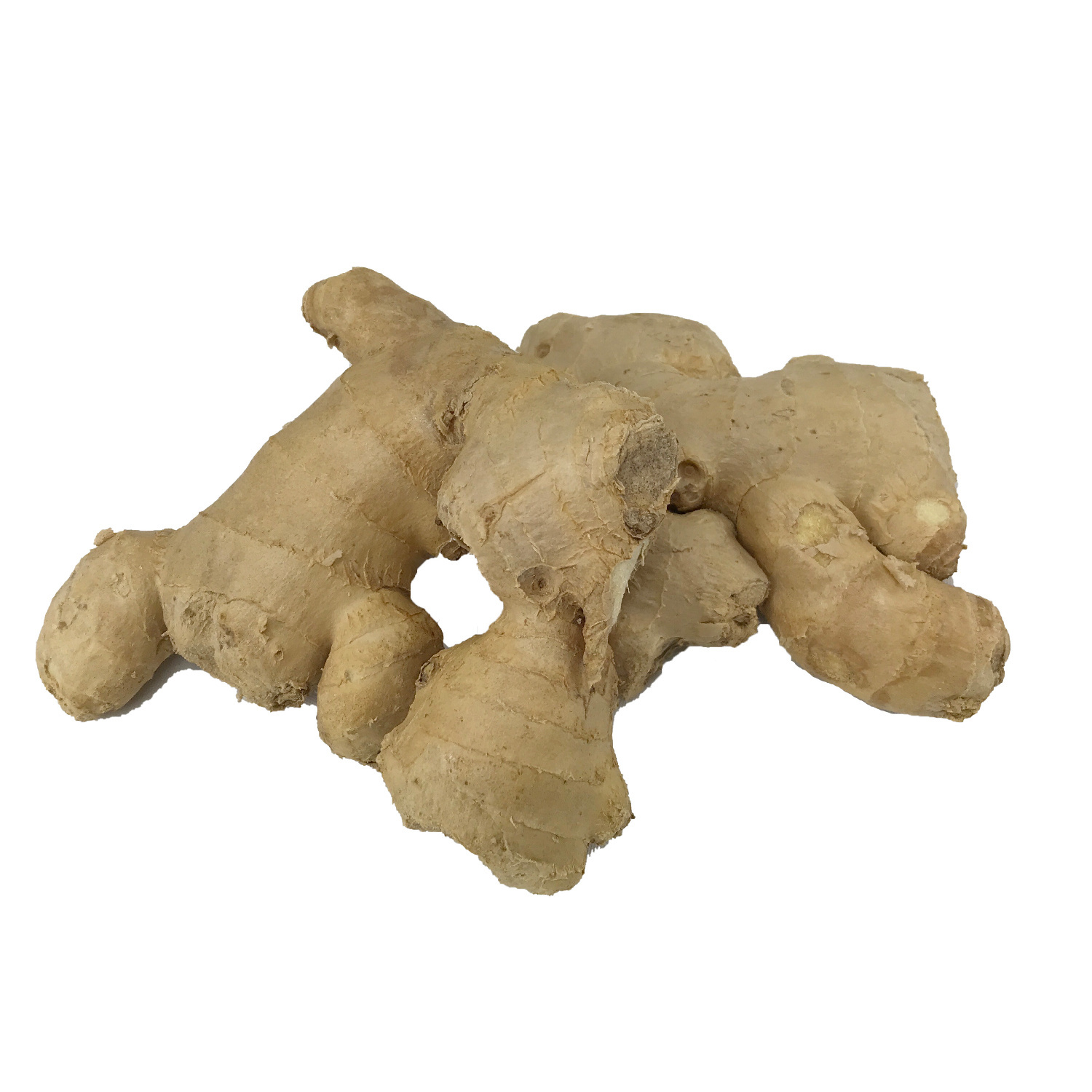 image of Ginger Root Fresh