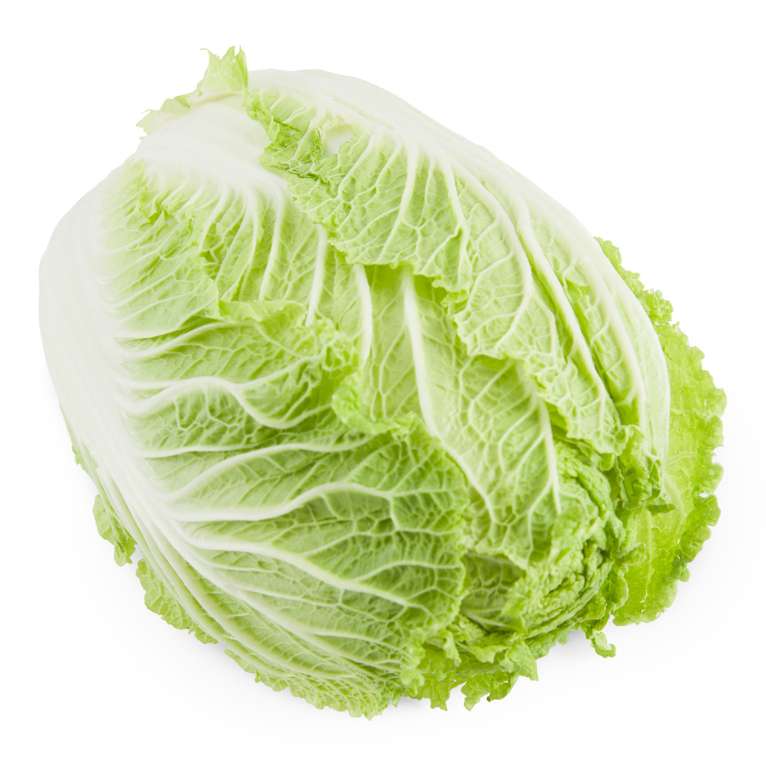 image of CABBAGE NAPA FRESH