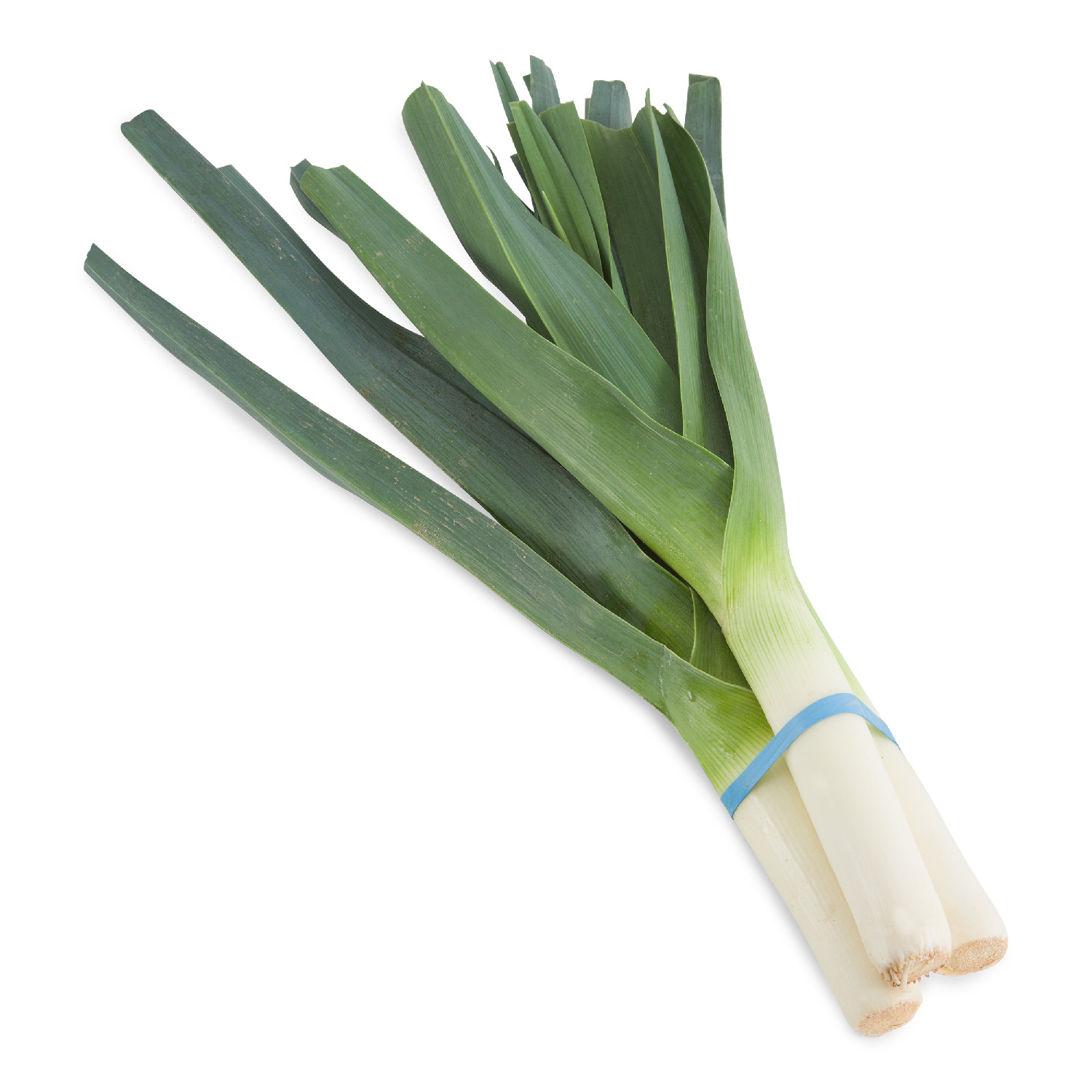 image of Leek Bunch Fresh Iceless (2308161)