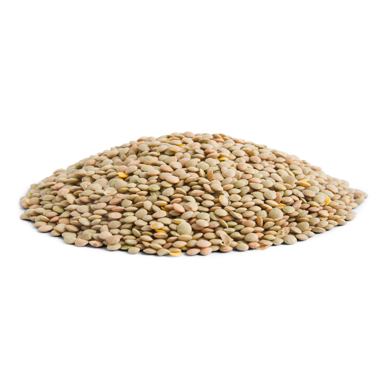 image of Dried Lentil Beans 