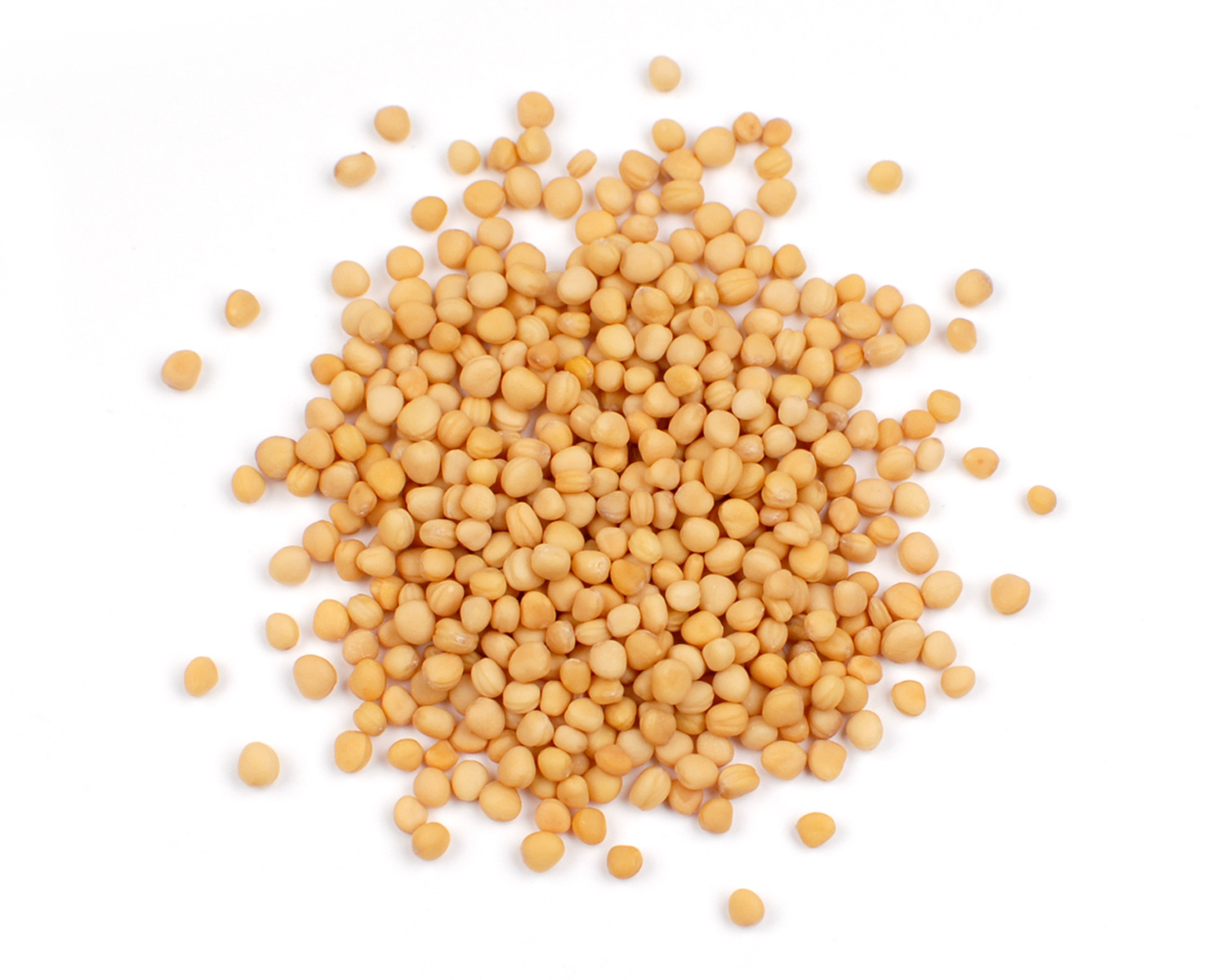 image of Spice Mustard Seed Yellow