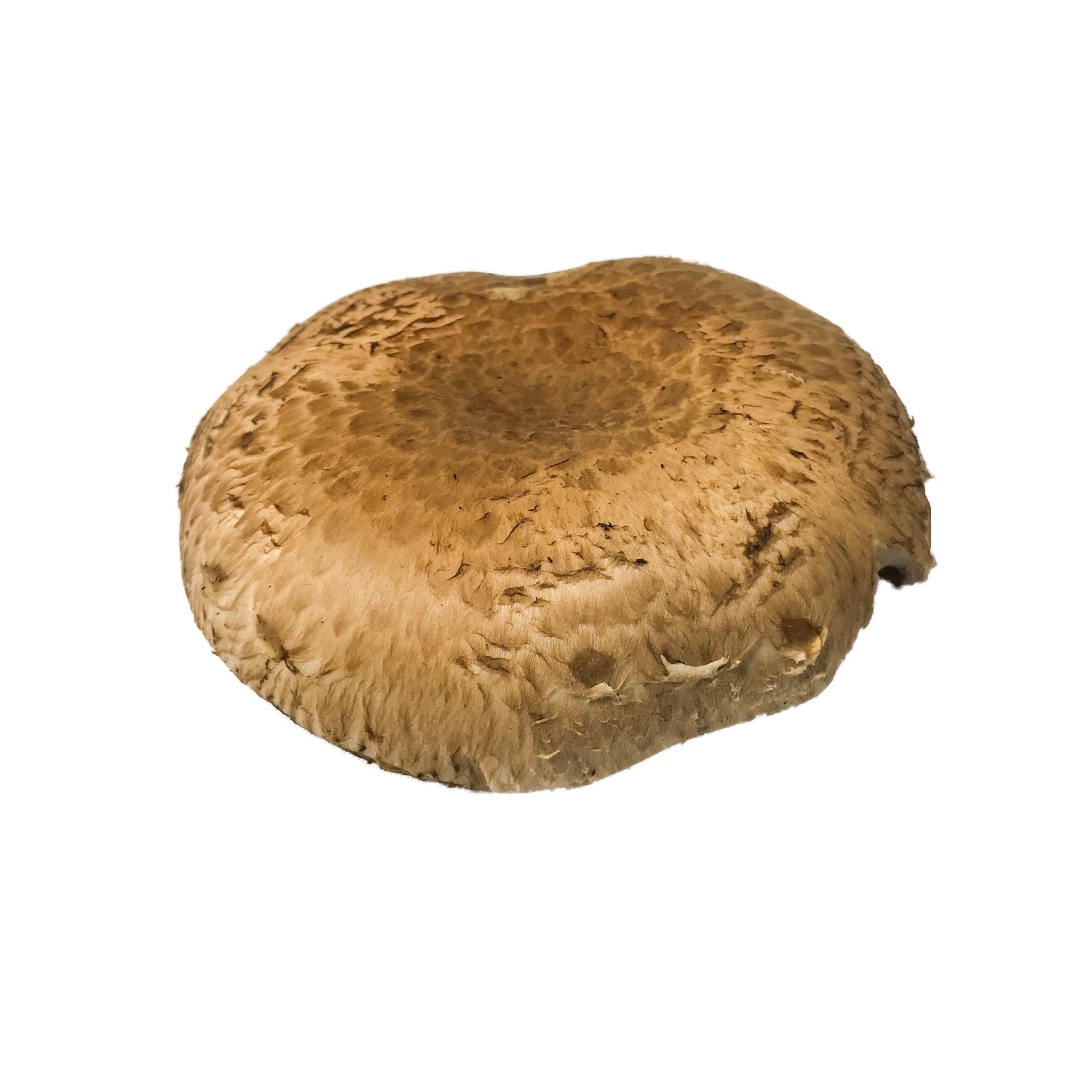 image of Portobello Mushrooms