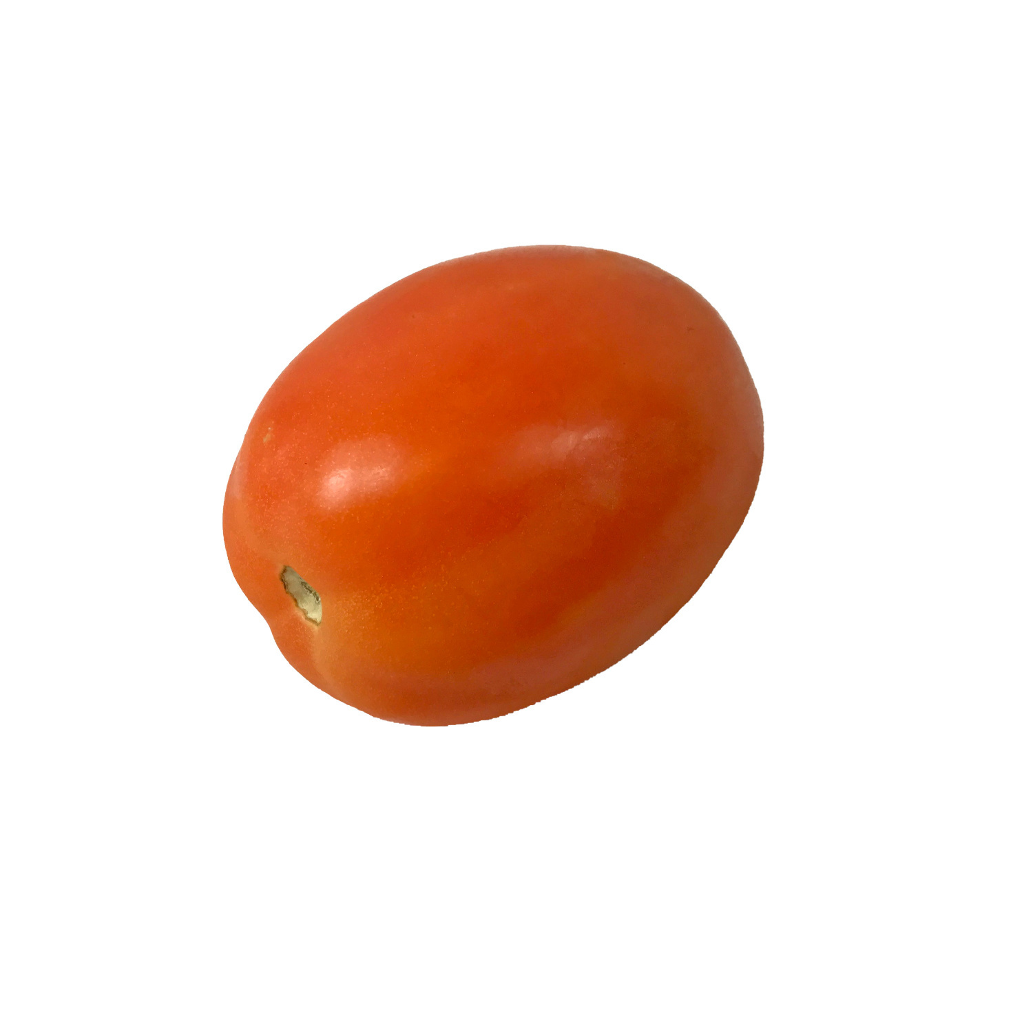 image of TOMATO ROMA MED