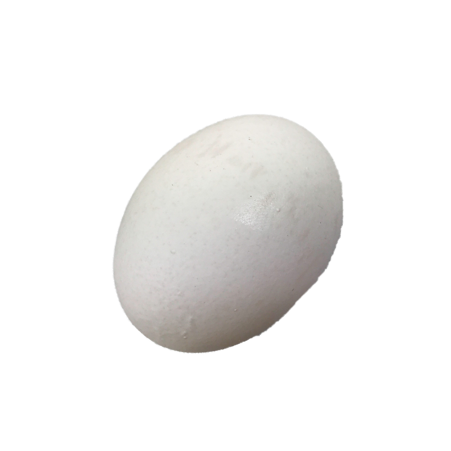 image of Eggs