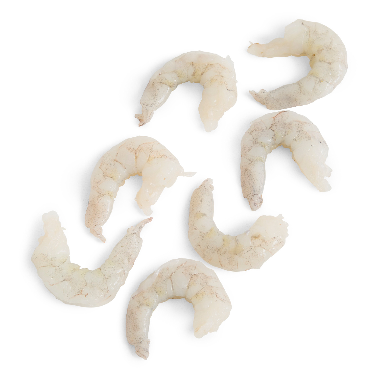 image of Portico Classic Shrimp