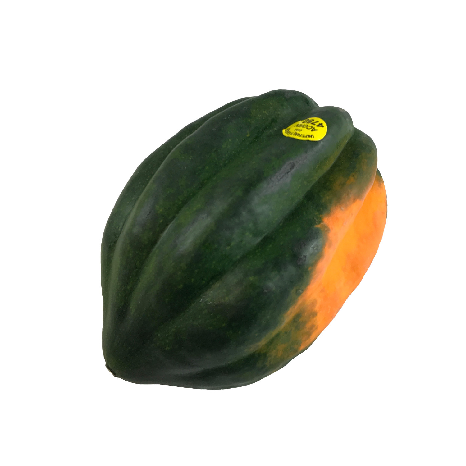 image of Squash Acorn Fresh