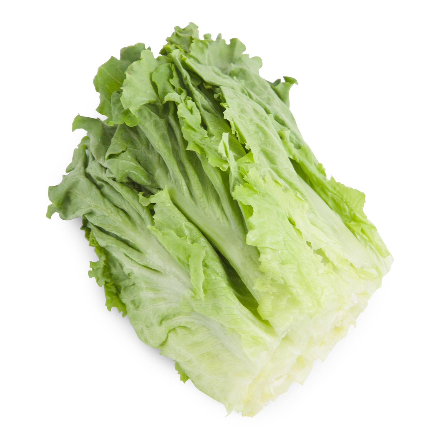 image of Lettuce Greens Leaf Washed & Trimmed